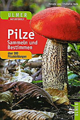  - pilze-sammeln-und-bestimmen-072492151