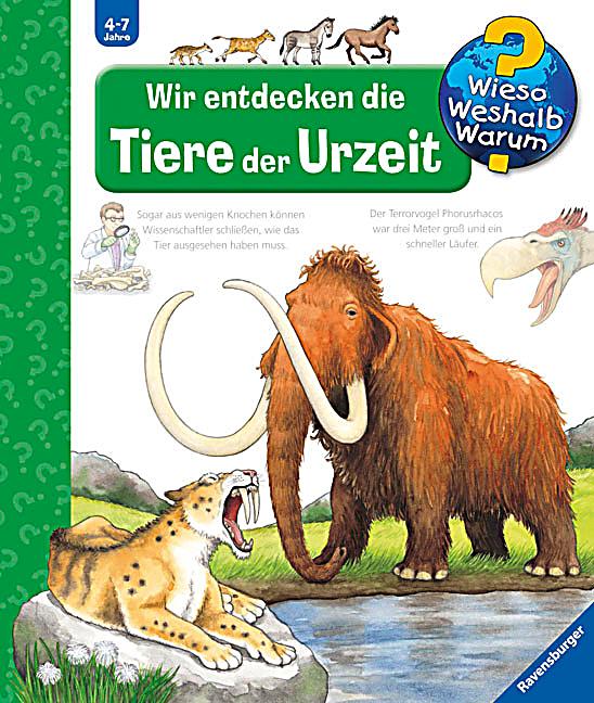  - wir-entdecken-die-tiere-der-urzeit-071997254